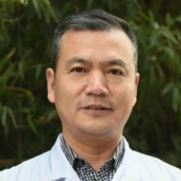 杨辉头像