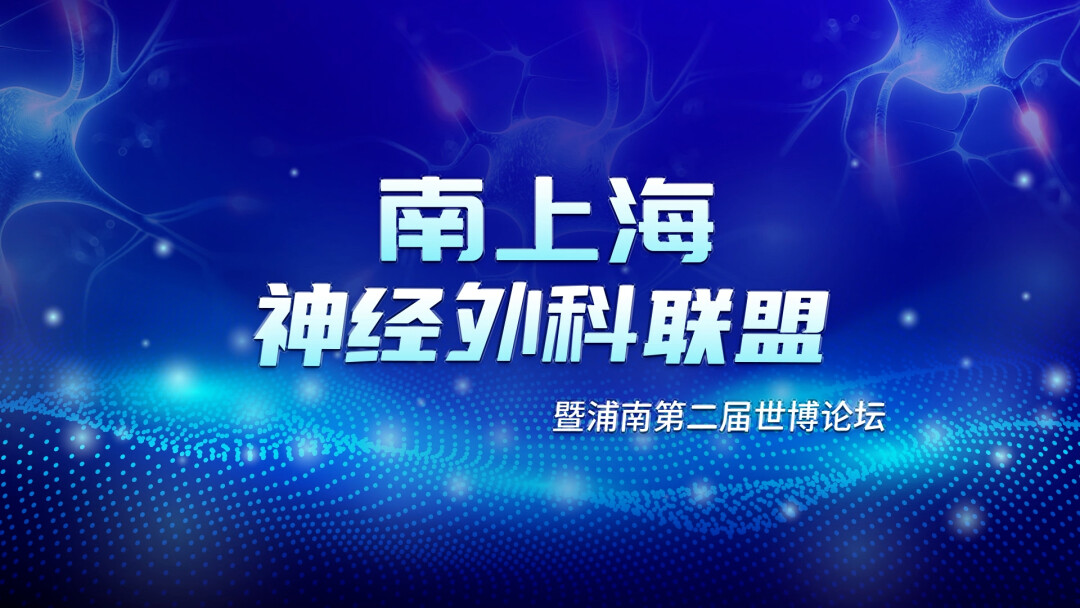 南上海神经外科联盟暨浦南第二届世博论坛