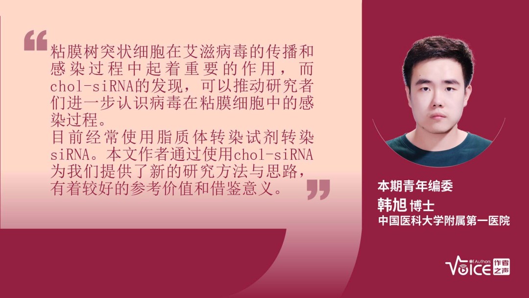 第2期｜编委述评：Chol-siRNAs能有效沉默小鼠宫颈阴道黏膜树突状细胞基因的表达