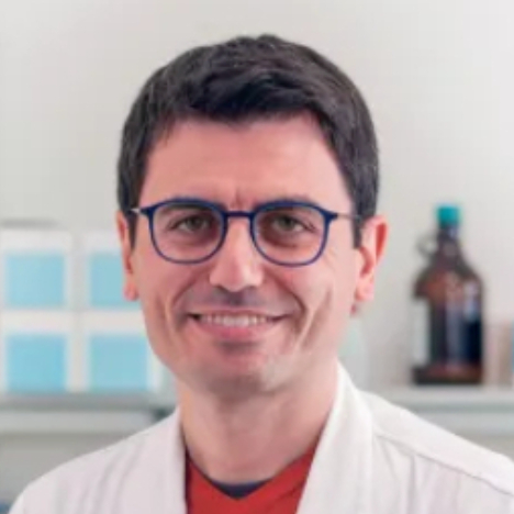 Luca Malorni头像