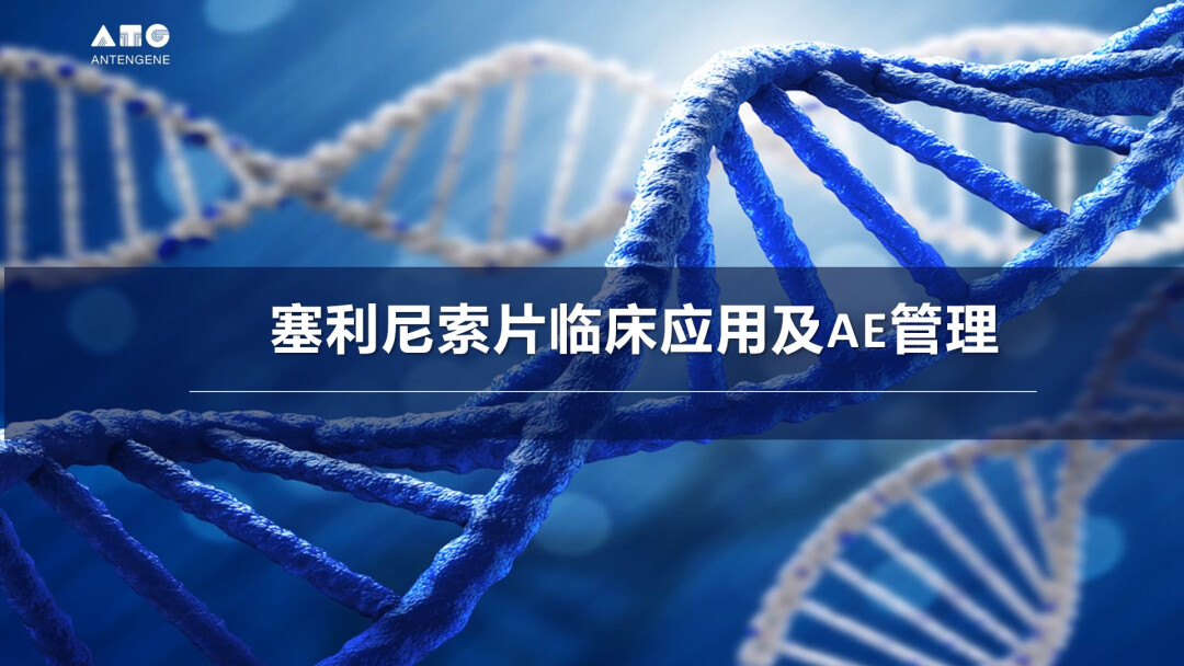 塞利尼索片临床应用及AE管理