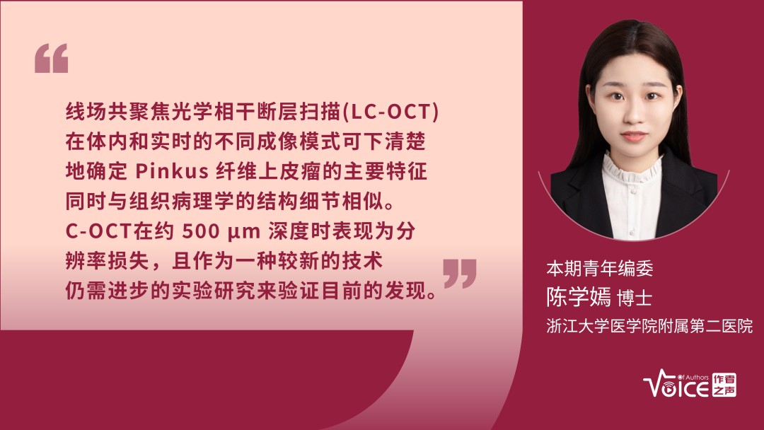 第6期 | 编委述评：LC-OCT技术可确定Pinkus纤维上皮瘤的主要特征