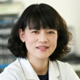 石晶头像
