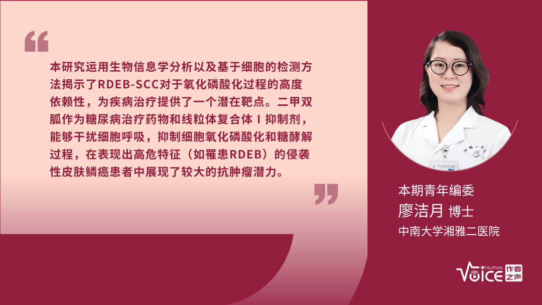 第22期 | 编委述评：二甲双胍在侵袭性皮肤鳞状细胞癌中展现出较大的抗肿瘤潜力