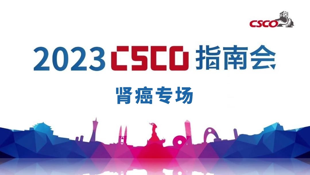 2023年CSCO指南会——肾癌专场